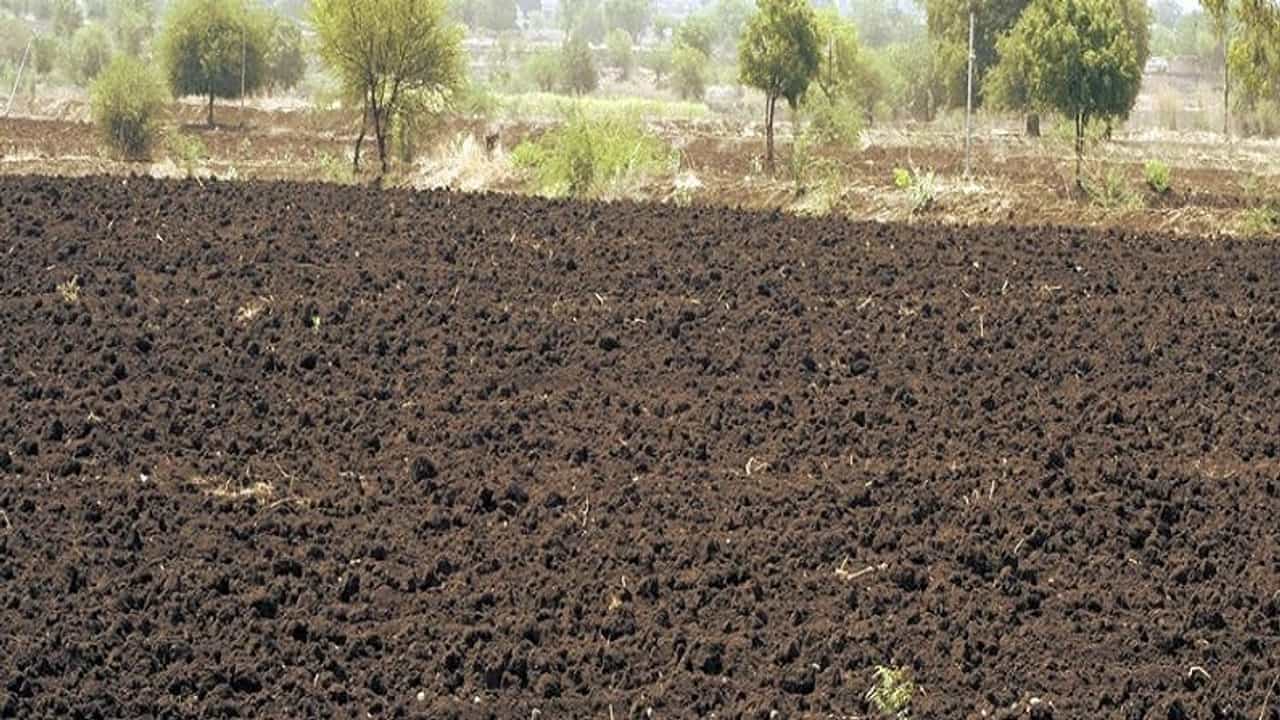 नाशिककरांनो शेतजमीन विकायची आहे, शासनाची एक भन्नाट योजना, काय आहे घ्या जाणून