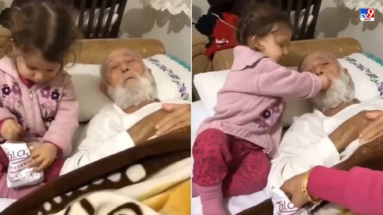 Video: वृद्ध आजोबांना भरवणारी चिमुरडी, व्हिडीओ पाहून नेटकरी म्हणाले, याला संस्कार म्हणतात!
