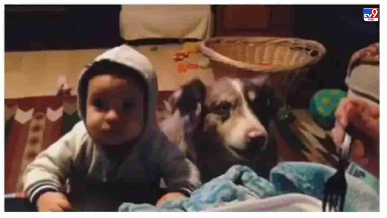Video: चिमुरड्याऐवजी कुत्राच म्हणायला लागला आई, व्हायरल व्हिडीओ पाहून नेटकरी अवाक