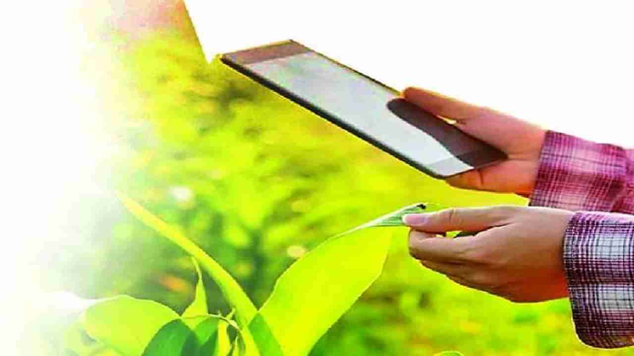 Smart Farmers : ई-पीक पाहणीचा पहिला टप्पा यशस्वी आता ई-पंचनामाचे अव्हान