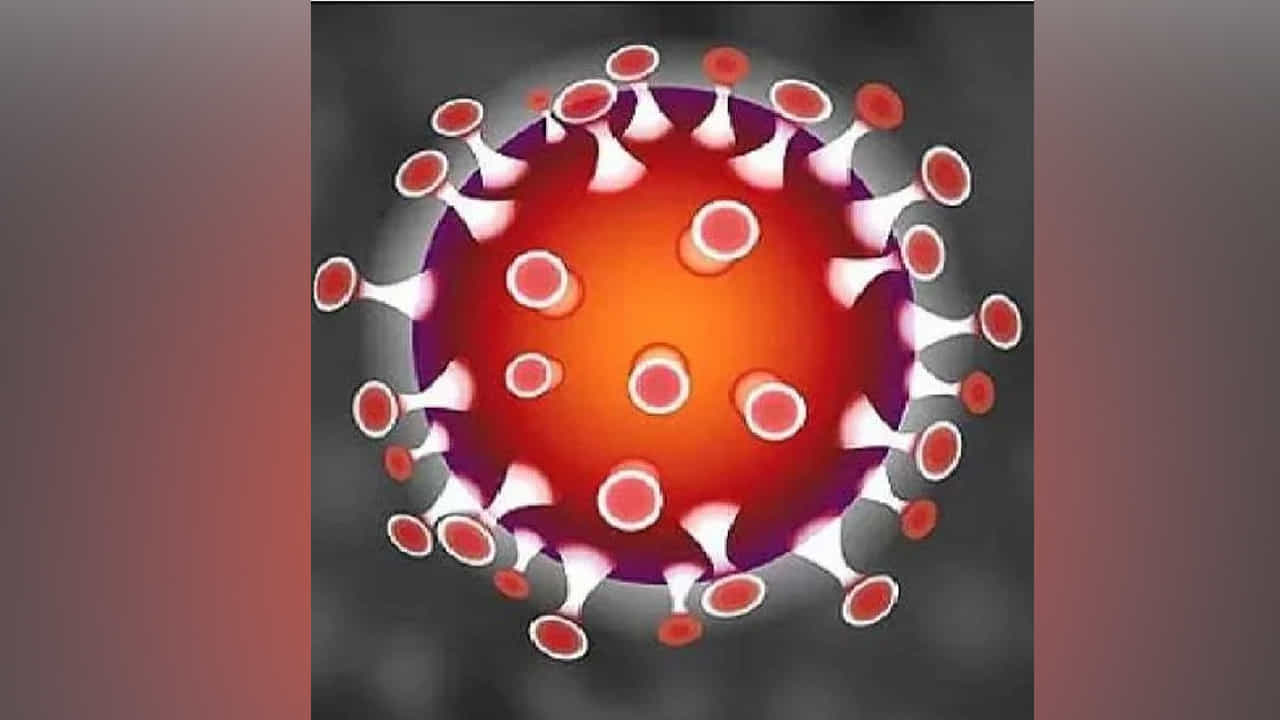 Omicron Variant: ओमिक्रॉन म्हणजे काय? कसा लागला या वेरिएंटचा शोध?