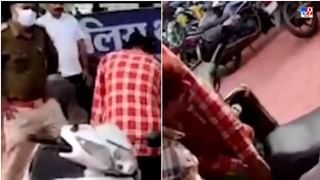 Video: पिल्लाचे रक्षण करणाऱ्यांना हत्तीचा व्हिडीओ व्हायरल, नेटकरी म्हणाले, हत्ती खूप हुशार असतात!