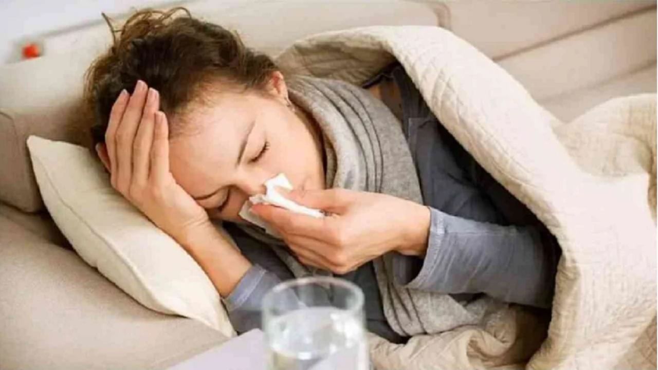 Winter Diseases : हंगामी आजारांपासून दूर राहण्यासाठी 'या' खास टिप्स फाॅलो करा! 