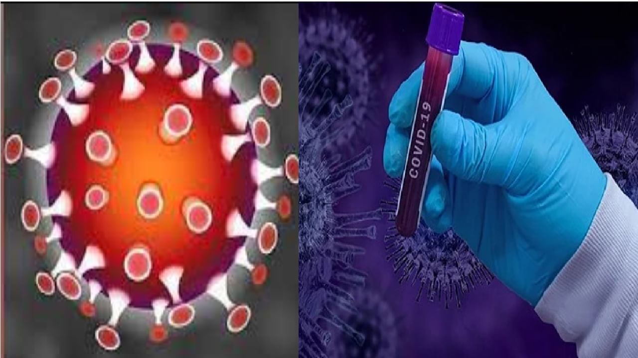 न्यू ओमाइक्रोन वायरस की पहली तस्वीर | क्या आपने कभी दुनिया को चौंका देने वाले कोरोना ओमाइक्रोन वायरस की पहली तस्वीर देखी है?
