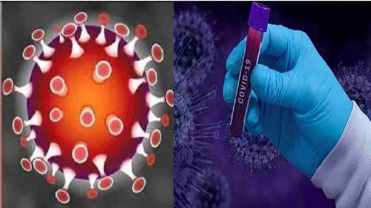 First Picture of New Omicron Virus | जगाला धडकी भरवणाऱ्या कोरोनाच्या ओमिक्रॉन विषाणूचा पहिला वहिला फोटो पाहिलात का?