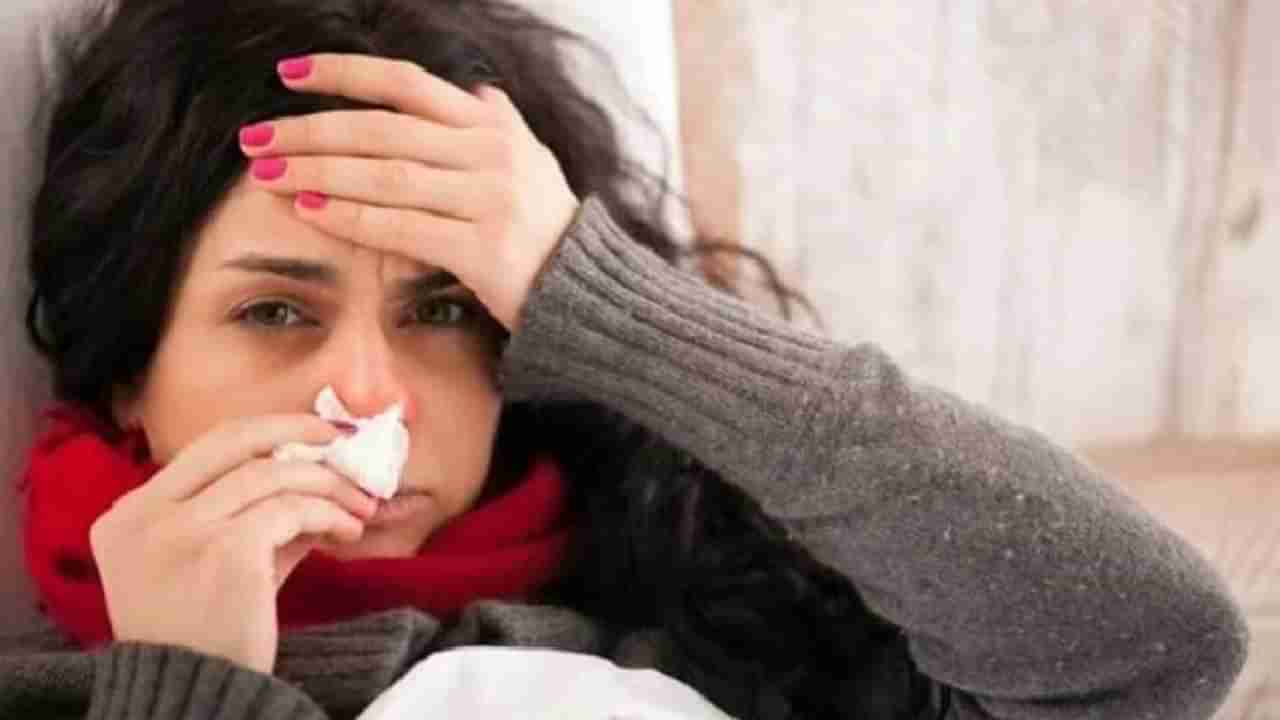Flu Diet : हिवाळ्यात सर्दी-खोकला होतो?, मग या खास पदार्थांचा आहारात समावेश करा!