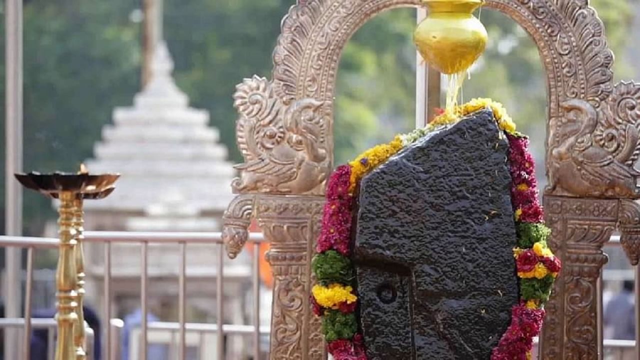 Shani Amavasya 2021 | शनी देवाची कृपा हवी असेल तर 'शनी अमावस्येला' हे उपाय नक्की करा