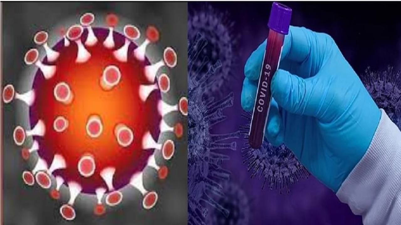 Omicron Variant : महाराष्ट्रातही 'ओमिक्रॉन'चा धोका? दक्षिण आफ्रिकेवरुन डोंबिवलीत आलेला प्रवासी कोरोना पॉझिटिव्ह!