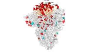 Omicron cases: पुण्यात उद्यापासून टेस्टिंग आणि ट्रेसिंग; ओमिक्रॉनचे रुग्ण आढळल्यानंतर प्रशासन लागलं कामाला