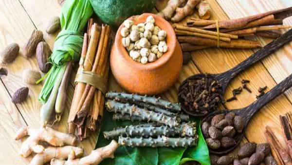 आयुर्वेदिक औषधी वनस्पतींच्या मदतीने आपण निरोगी राहू शकतो. आपल्या दररोजच्या आहारामध्ये काही आयुर्वेदिक औषधी वनस्पतींच्या समावेश करून आपण रोगप्रतिकारक शक्ती देखील वाढू शकतो. या आयुर्वेदीक वनस्पती नेमक्या कोणत्या हे आपण बघणार आहोत.
