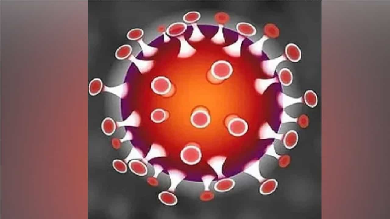 दक्षिण आफ्रिकेतून पुण्यात आलेल्या एका प्रवाश्यावर महापालिकेचे विशेष लक्ष