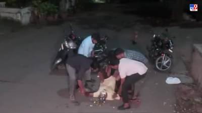 Video: देव करो आणि हा व्हिडीओ खोटा ठरो, बर्थ डे बंम्पज देताना तो गुदरमला, हादरवणारा व्हिडीओ