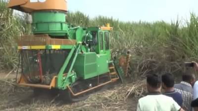 Sugar Factories : शेवटी ऊसतोड मजुरच आले कामी, पावसाने यंत्रांची चाके रुतलेलीच