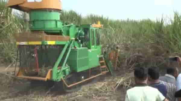 Sugar Factories : शेवटी ऊसतोड मजुरच आले कामी, पावसाने यंत्रांची चाके रुतलेलीच