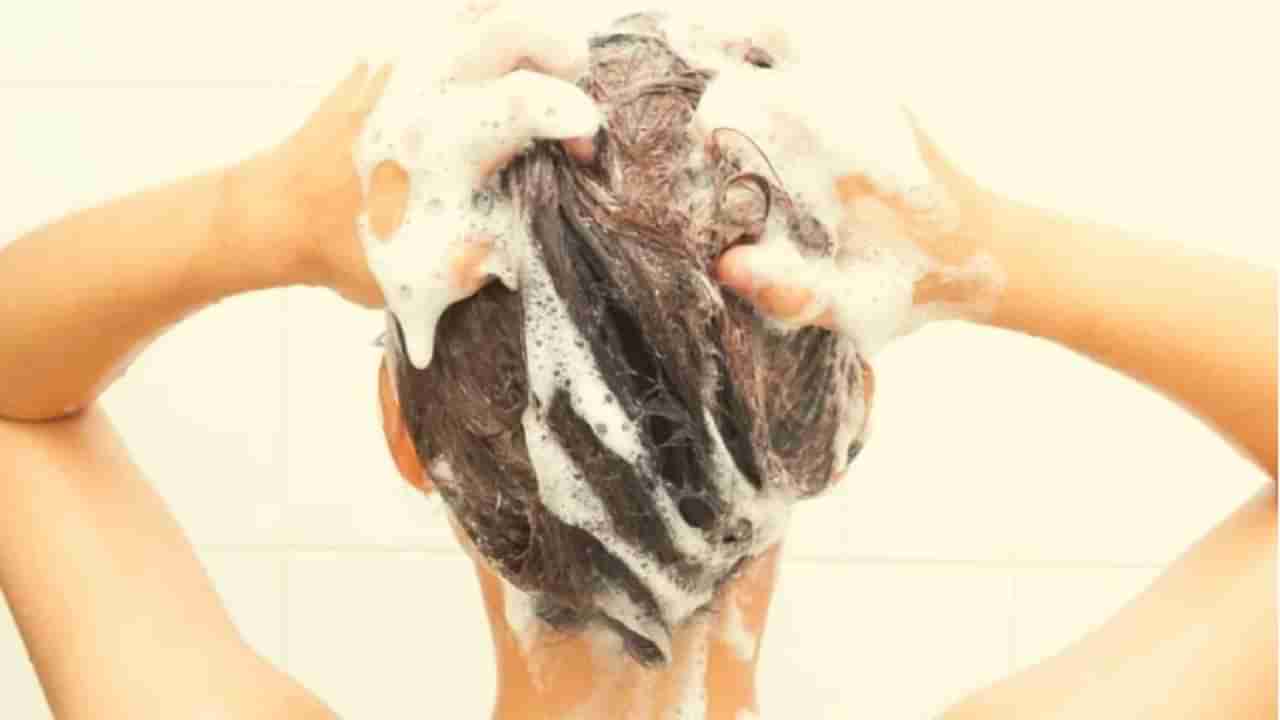 Hair Care : कोरड्या केसांची समस्या दूर करण्यासाठी हे घरगुती उपाय फायदेशीर, वाचा अधिक!
