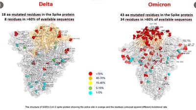 Omicron case in Delhi : नवी दिल्लीत ओमिक्रॉनचा पहिला रुग्ण आढळला, भारतातील रुग्णसंख्या 5 वर