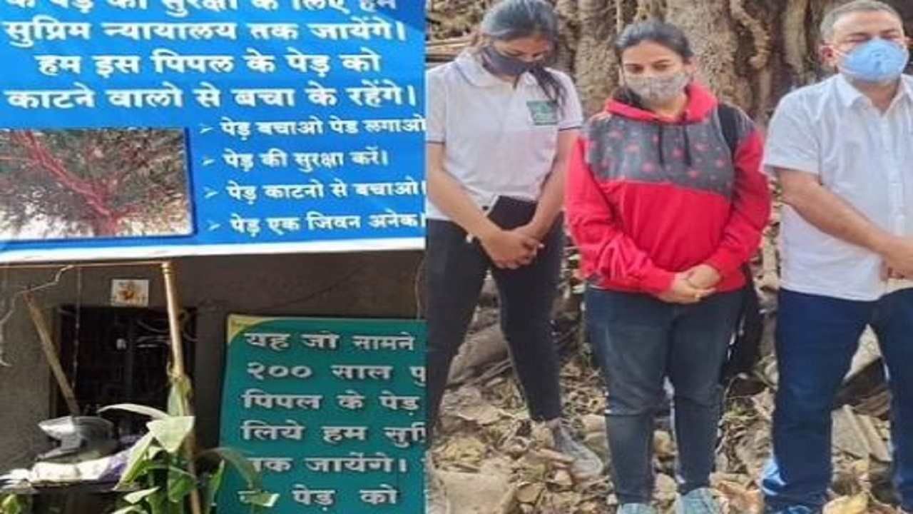 Nagpur 200 वर्षे जुनं झाड तोडण्यासाठी मागितली परवानगी, पर्यावरणवाद्यांचा विरोध कमी पडणार?