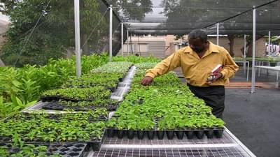 नाशिक जिल्ह्यातल्या शेतकऱ्यांसाठी फलोत्पादन प्रशिक्षण, असा करा अर्ज!