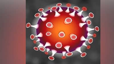 Nashik| नाशिकमध्ये कोरोना बळींच्या 3 हजार वारसांचे मदतीसाठी अर्ज; 50 हजार रुपये मिळणार, छाननी सुरू