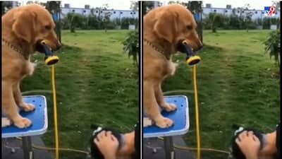 Video: मालकाने चेहऱ्याला साबण लावला, आणि कुत्र्याने पाणी बंद केलं, पाहा कुत्र्याच्या हुशारीचा भन्नाट व्हिडीओ!