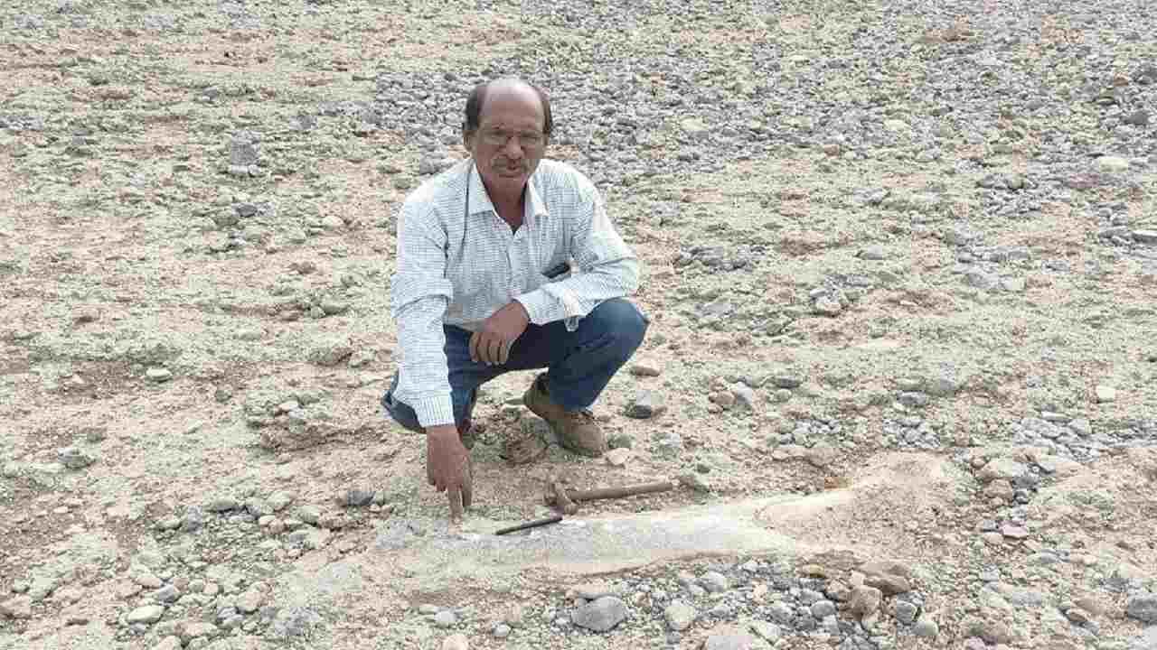 Dinosaur Fossil चंद्रपुरात आढळले डायनासोरचे जीवाश्म, प्रा. सुरेश चोपणे यांचे संशोधन