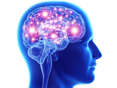 तुम्हाला वारंवार विसरण्याची सवय आहे काय? ही अल्झायमरची लक्षणे तर नाही...