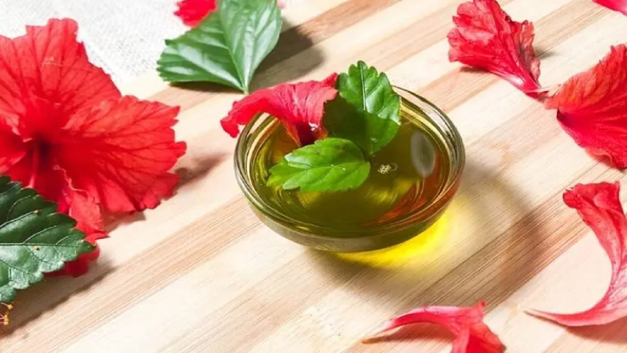 जास्वंदाच्या फुलाचे तेल केसांच्या वाढीसाठी खूप फायदेशीर आहे. हे तेल केसगळती थांबवते आणि केसांना आतून मजबूत करण्यास मदत करते. 