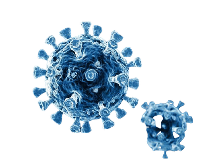 Omicron Update | आधी औरंगाबाद, अकोला आता नांदेडमध्ये ओमिक्रॉनचा शिरकाव; दक्षिण आफ्रिकेतून आलेल्या दोघांचा अहवाल पॉझिटिव्ह