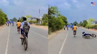 Video: बॉलसारखा गोल, 4 पाय आणि विचित्र चेहरा, या समुद्री प्राण्याला तुम्ही ओळखता का?