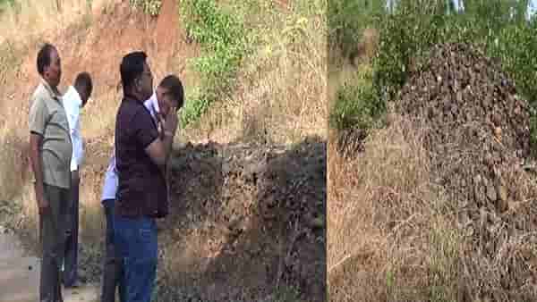 फुलांऐवजी दगड अर्पण करण्याची प्रथा, रत्नागिरीत दगडाच्या ढिगाऱ्याचा देव