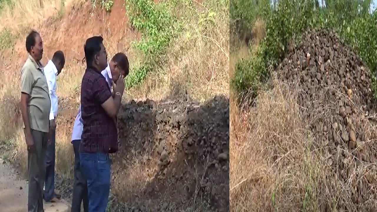 फुलांऐवजी दगड अर्पण करण्याची प्रथा, रत्नागिरीत दगडाच्या ढिगाऱ्याचा देव