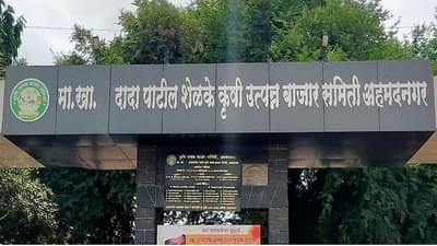 आश्चर्य..! पावसामुळे नाही तर या कारणामुळे अहमदनगर बाजार समितीमधील कांद्याचे व्यवहार ठप्प