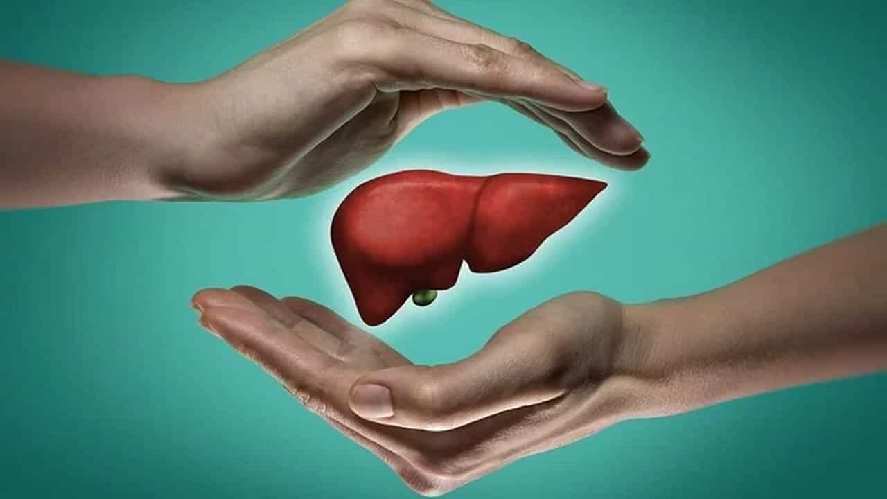 सतत ओटीपोटात दुखणे असू शकते यकृत खराब होण्याचे लक्षण! अशी घ्या स्वतःची काळजी...