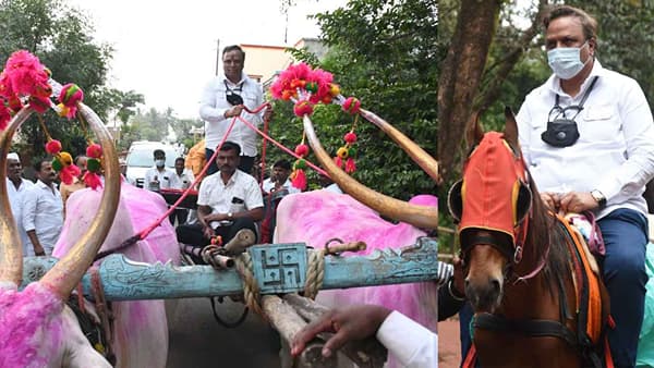 पक्ष बांधणीसाठी कधी बैलगाडीतून तर कधी घोड्यावरून; आशिष शेलारांच्या घोडदौडीने भाजपला बळ, मुंबईत सलग दुसऱ्यांदा शेलारांचा करिश्मा चालणार?