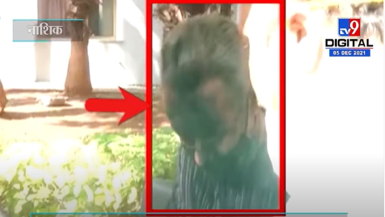 VIDEO : Nashik | साहित्य संमेलनात गिरीश कुबेर यांच्यावर शाईफेक, संभाजी ब्रिगेडकडून शाई फेकल्याची माहिती
