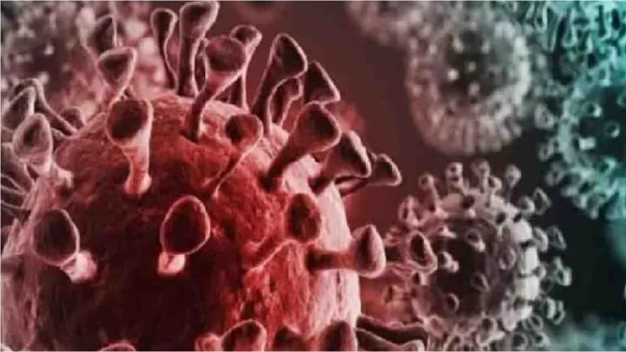 Mumbai | नाताळदिनी मुंबईत शून्य कोविड बळी, डिसेंबर महिन्यात सहाव्यांदा असं घडतंय!