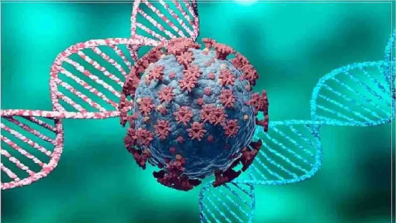 Omicron Variant : महाराष्ट्रात ओमिक्रॉनचे 10 रुग्ण! टास्क फोर्सची बैठक सुरु, निर्बंध लागणार?