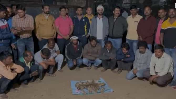 Gondia Leopard | बिबट्याची कातडी तस्करी करणारी टोळी जेरबंद; नागपूर आणि गोंदिया वनविभागाची कारवाई