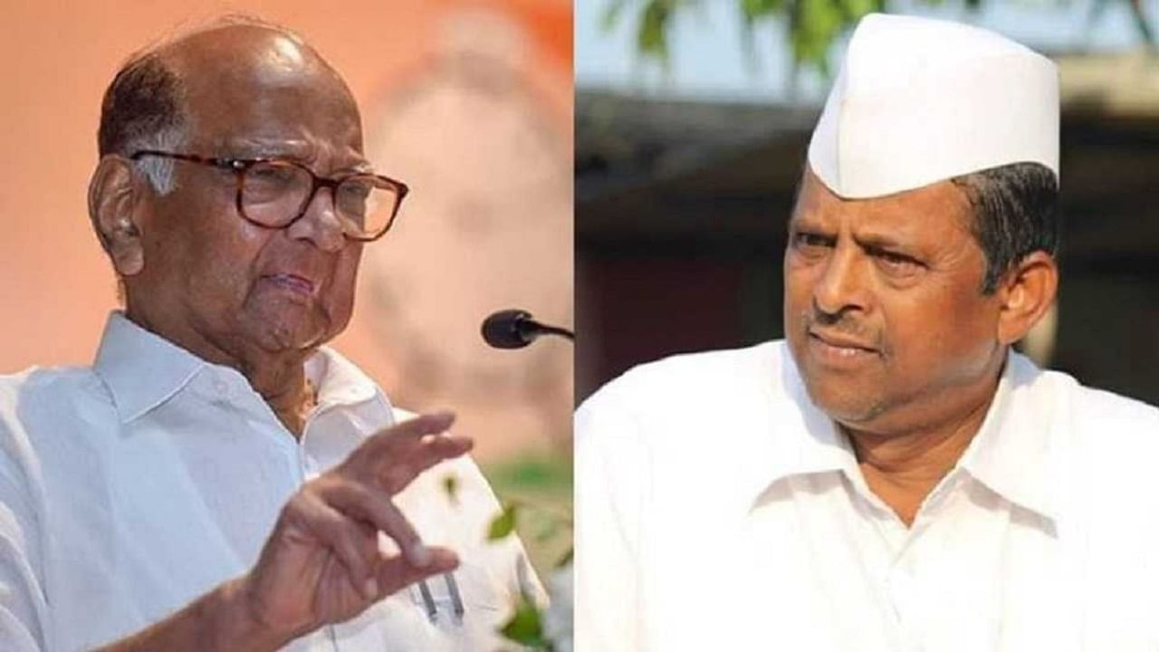 Sharad Pawar| एवढा भारी उपाध्यक्ष झाला नाही, पवारांकडून झिरवळांचे कौतुक; सत्ता येते-जाते, फक्त सामाजिक बांधिलकी जपण्याचे आवाहन Sharad Pawar| एवढा भारी उपाध्यक्ष झाला नाही, पवारांकडून झिरवळांचे कौतुक; सत्ता येते-जाते, फक्त सामाजिक बांधिलकी जपण्याचे आवाहन