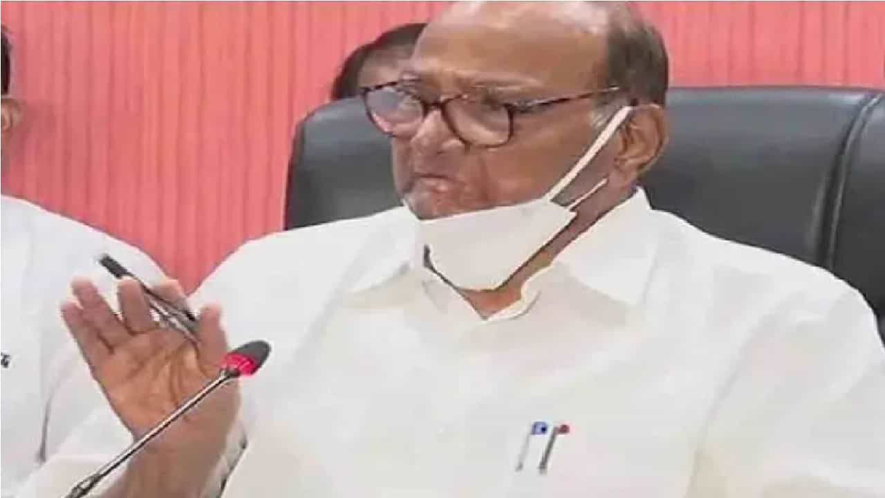 मोठी बातमी : पाच राज्यातल्या निवडणुकांसाठी शरद पवार मैदानात, प्रेस कॉन्फरन्समध्ये मेगा प्लॅन मांडला