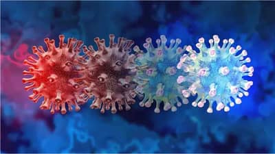 Section 144 Imposed in Mumbai : ओमिक्रॉनचा धसका, मोर्चे, आंदोलन, रॅलीला मनाई; मुंबईत कलम 144 लागू