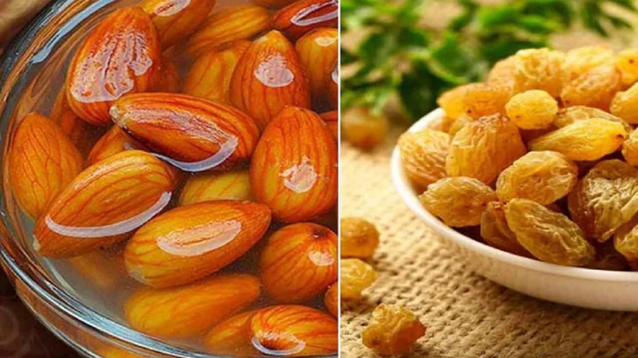 आपण बऱ्याच वेळा ऐकतो की, भिजवलेले बदाम खाणे आपल्या आरोग्यासाठी अत्यंत फायदेशीर असतात. विशेष म्हणजे फक्त बदामाच नाहीतर भिजवलेले मनुके खाणे देखील आपल्या आरोग्यासाठी फायदेशीर आहेत. आज आपण भिजवलेले मनुके आणि बदाम खाण्याचे फायदे बघणार आहोत.