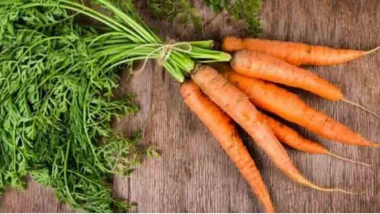 गाजर खाल्ल्याने तुमची रोगप्रतिकारशक्तीही मजबूत होते. गाजरामध्ये असलेले व्हिटॅमिन सी तुमच्या शरीराला अँटीबॉडीज बनवण्यास मदत करते. व्हिटॅमिन सी शरीराला संसर्गाशी लढण्यासाठी मजबूत करते.