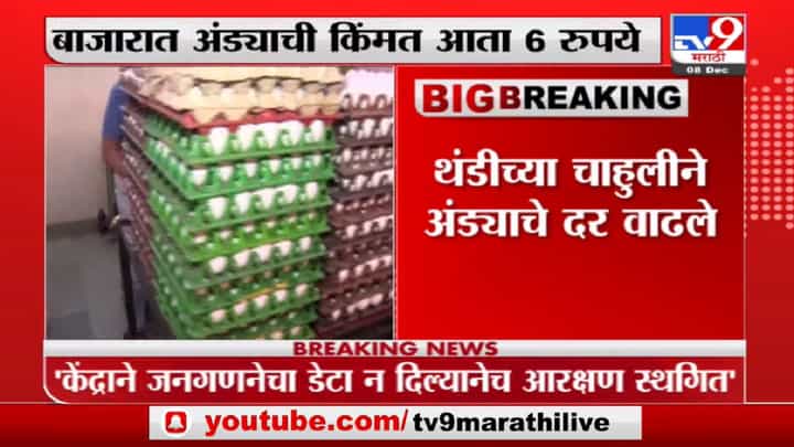 Eggs Prices | ऐन थंडीत अंडी महाग, अंड्याची किंमत आता 6 रुपये Eggs Prices | ऐन थंडीत अंडी महाग, अंड्याची किंमत आता 6 रुपये