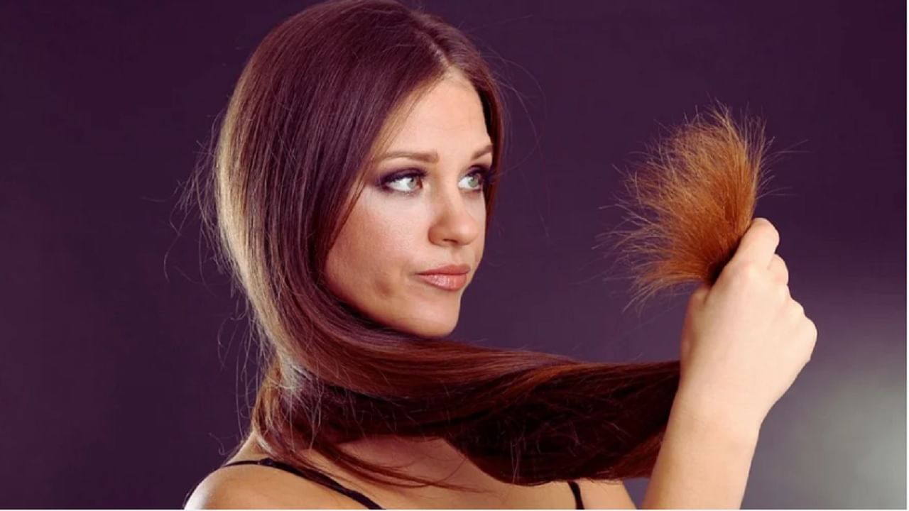 Beauty Tips : हिवाळ्यात केस आणि त्वचेच्या कोरडेपणा दूर करण्यासाठी'हे' घरगुती उपाय करून पाहा! 