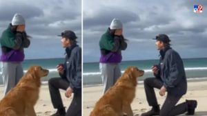 Video: प्रियकराचं प्रियसीला पाळीव कुत्र्यासमोर अनोखं प्रपोज, पाहा अविस्मरणीय क्षणाचा व्हायरल व्हिडीओ