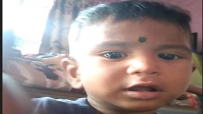 Nagpur cat | मांजरीचा वावर जीवावर उठला, कीटकनाशकाचा डबा सांडवला, विष चाटल्यानं बाळाचा मृत्यू