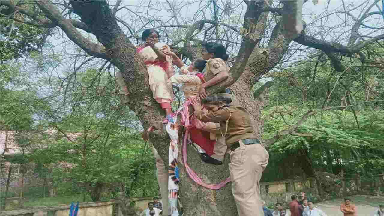 उपोषण करणारी महिला झाडावर चढली, कामावरून कमी केल्याने 9 दिवसांपासून बीडमध्ये आमरण उपोषण