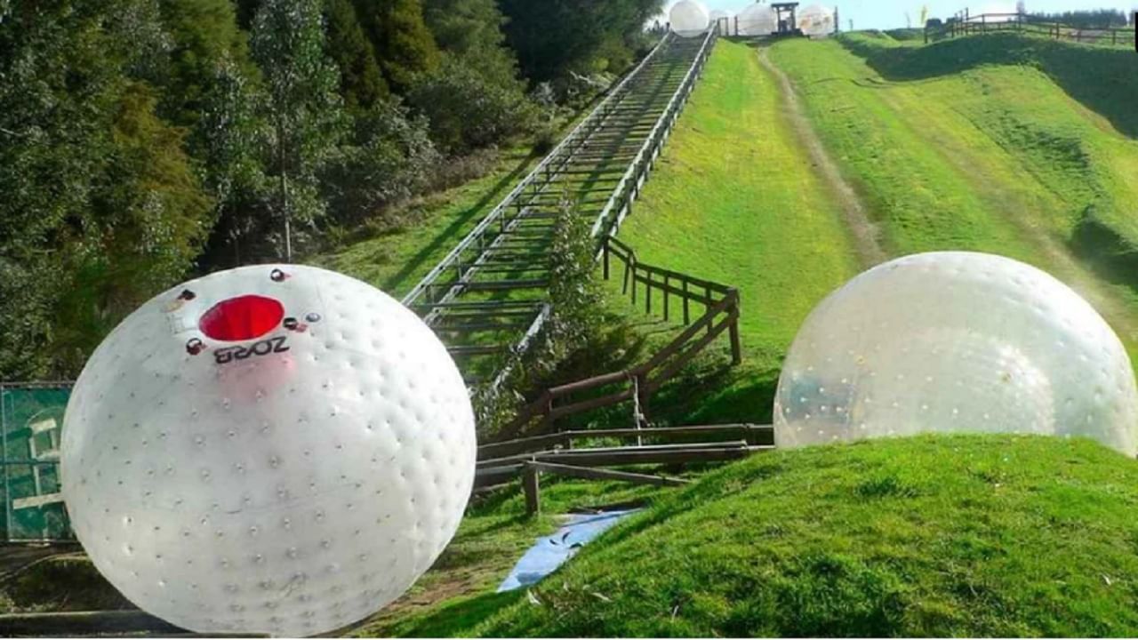 झॉर्ब न्यूझीलंडमध्ये आढळतो. हा एक मोठी चेंडू असून पर्यटक यामध्ये बसण्याचा आनंद घेऊ शकतात. 