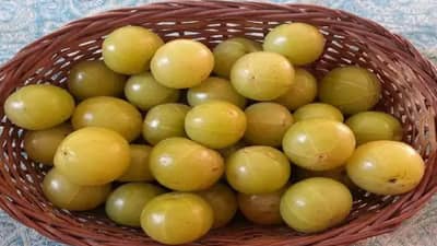 Amla Side effects : या लोकांसाठी आवळ्याचे सेवन ठरू शकते हानिकारक, वाचा महत्वाची माहीती!